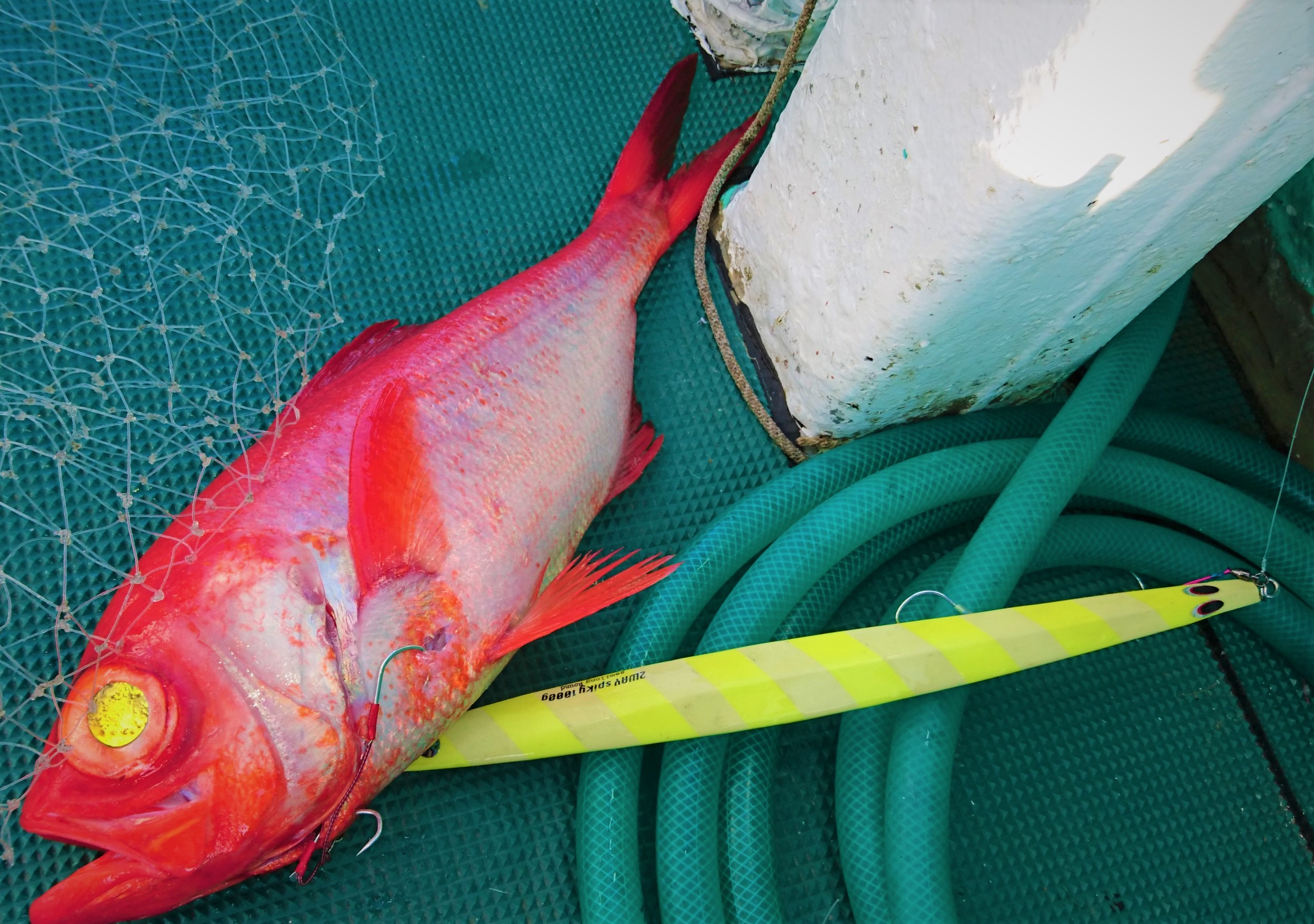 ファッションの トロキン62 新島キンメ 金目鯛 ジギング キンメ